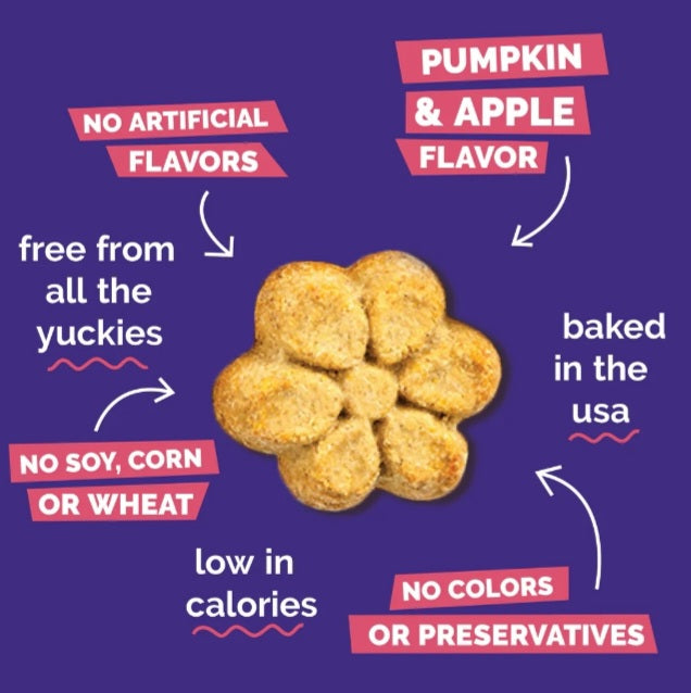 Fruitables Baked Pumpkin and Apple Flavor Dog Treats 7 oz