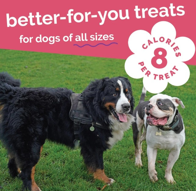 Fruitables Baked Pumpkin and Apple Flavor Dog Treats 7 oz