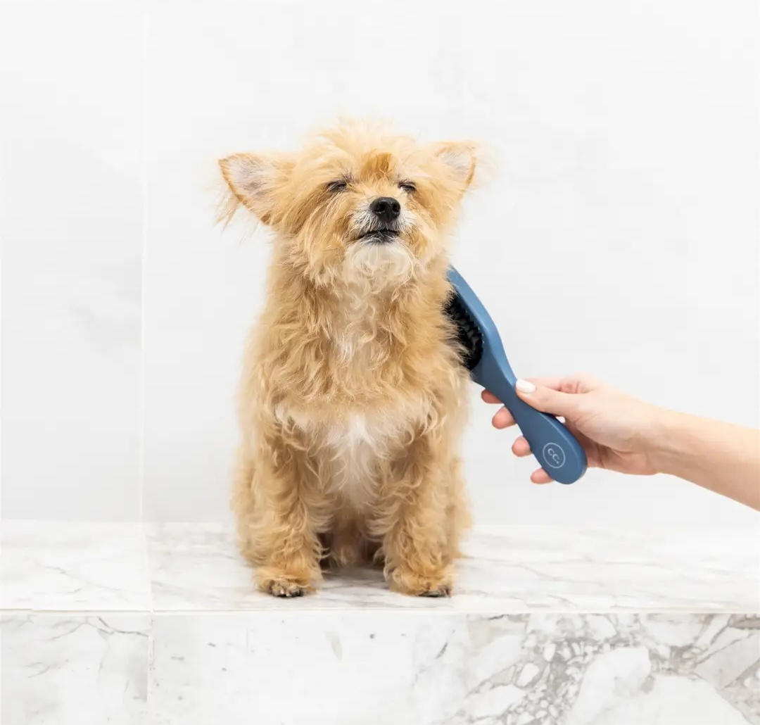 Clean Coats Rubber Pet Brush with Soft Bristles