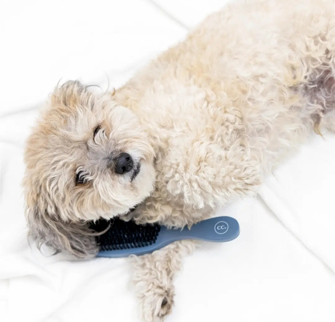 Clean Coats Rubber Pet Brush with Soft Bristles