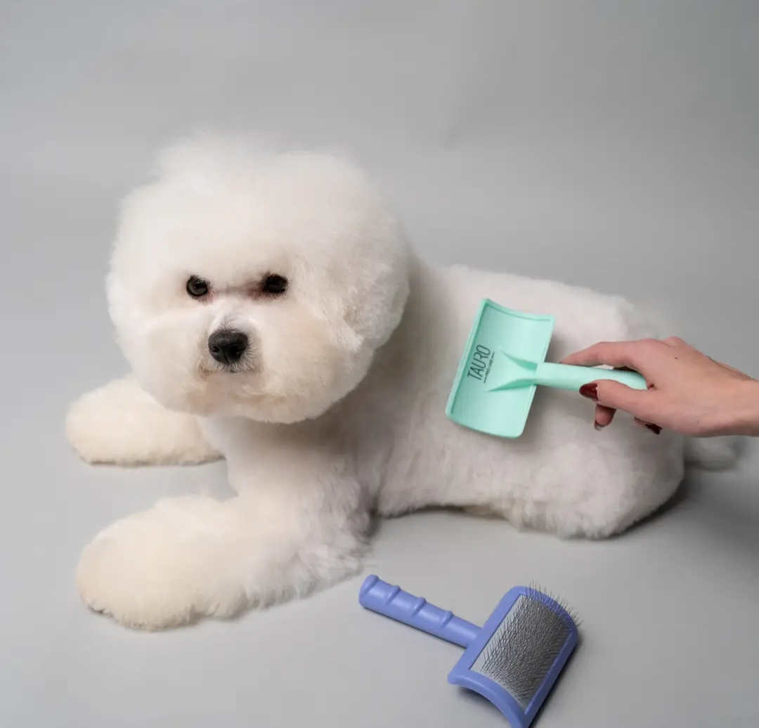 Tauro Plastic Detangling Pet Brush with Curved Steel Pins, .08"