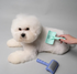 Tauro Plastic Detangling Pet Brush with Curved Steel Pins, .08"