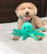 Clean Earth Plush Octopus By Spunky Pups Dog Toys