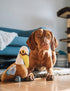 Clean Earth Plush Pelican By Spunky Pup Dog Toys