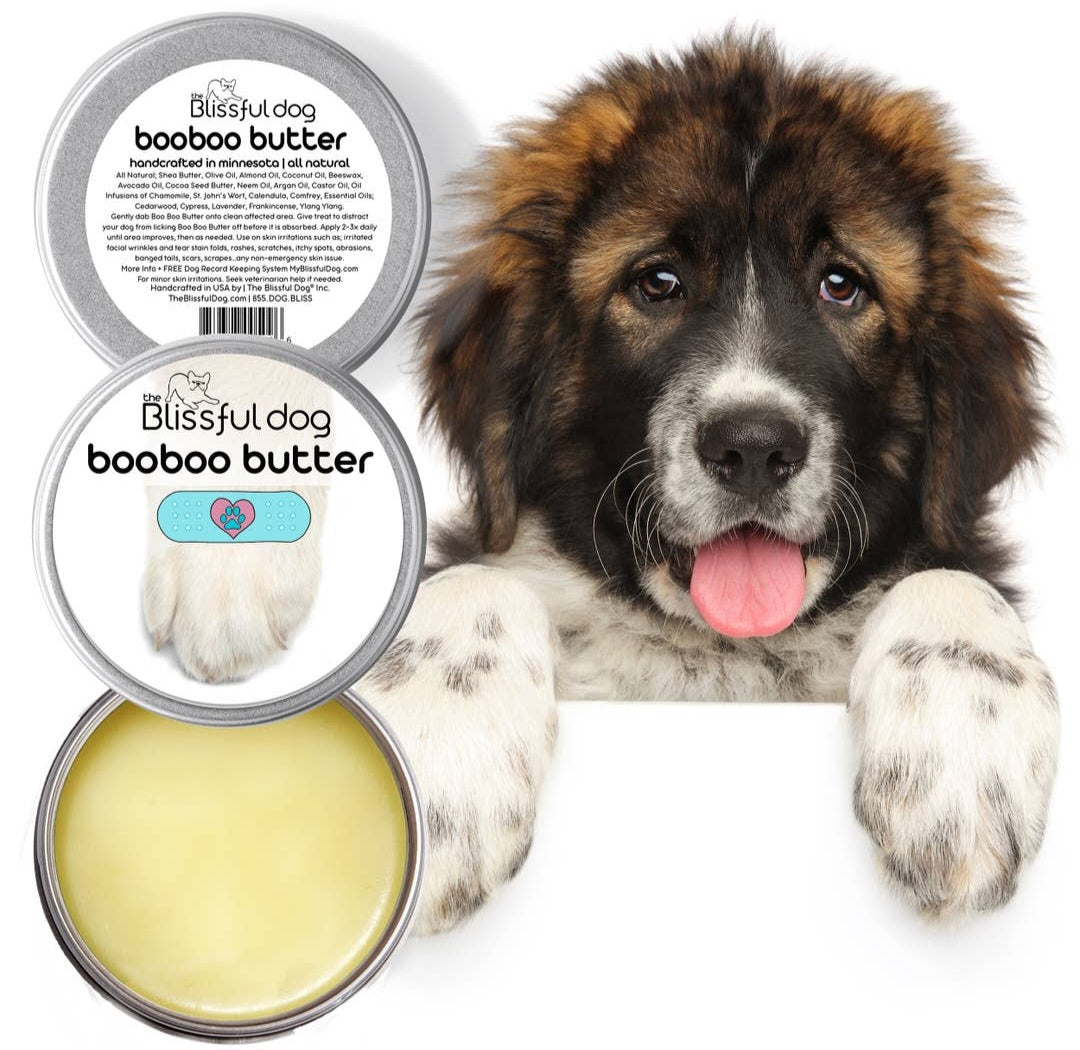 The Blissful Dog Boo Boo Butter For Minor Skin Issues | 2 oz Tin