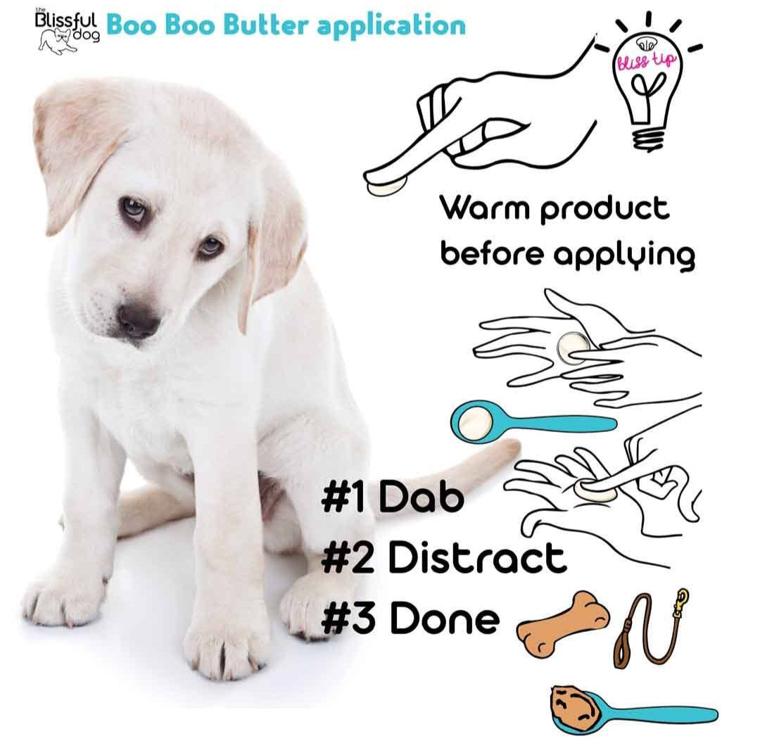 The Blissful Dog Boo Boo Butter For Minor Skin Issues | 2 oz Tin