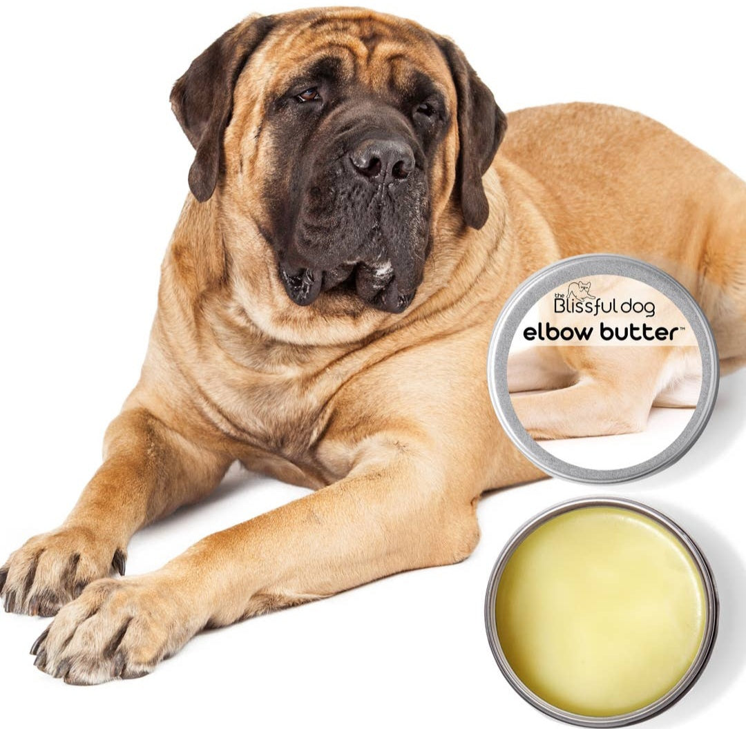 The Blissful Dog Elbow Butter | 2 oz Tin