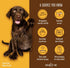 Portland Pet Food Pumpkin Brew Dog Biscuits