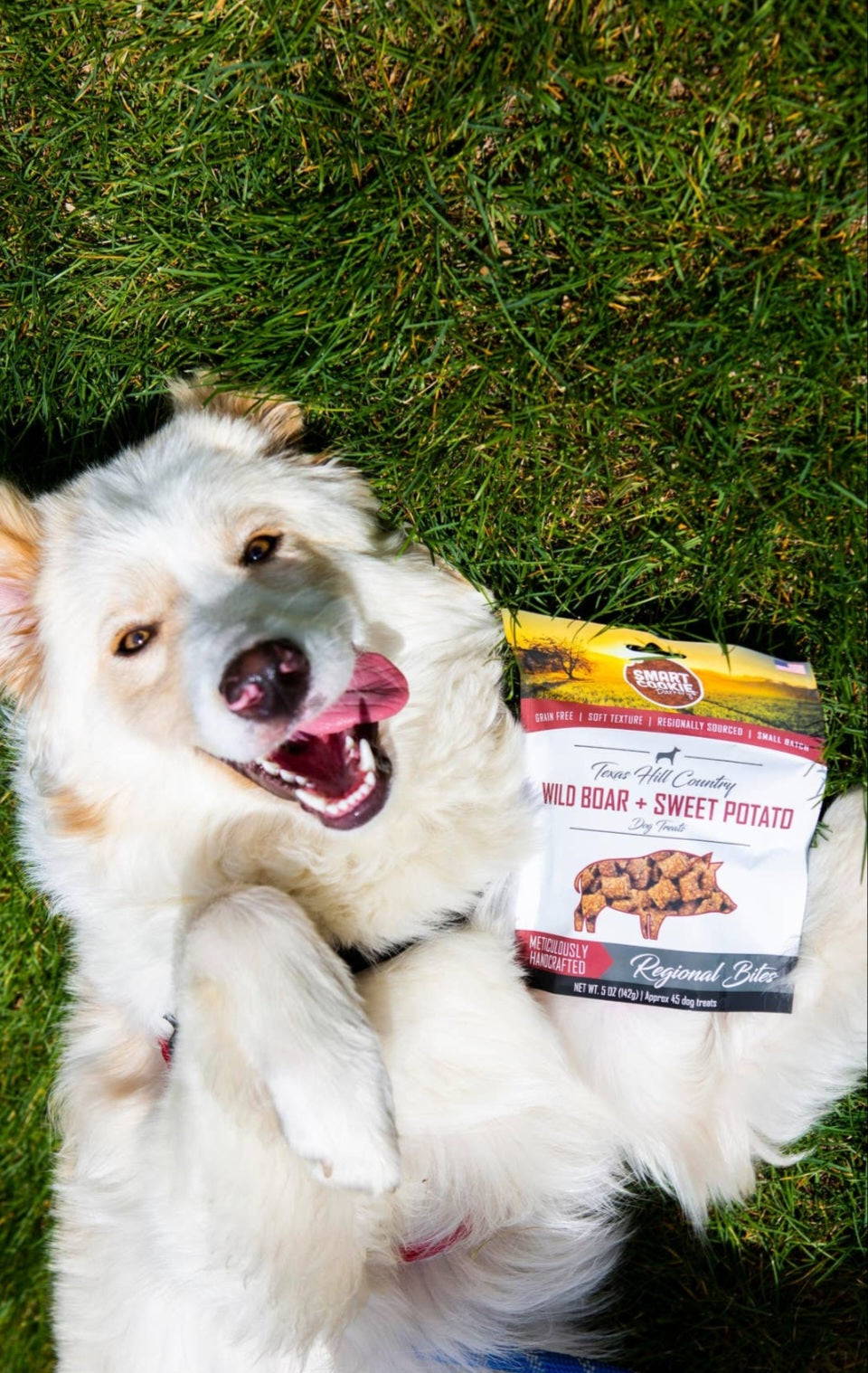 Smart Cookie Bakery Wild Boar & Sweet Potato Grain Free Dog Treats For Sensitive Stomachs & Allergies 5 oz