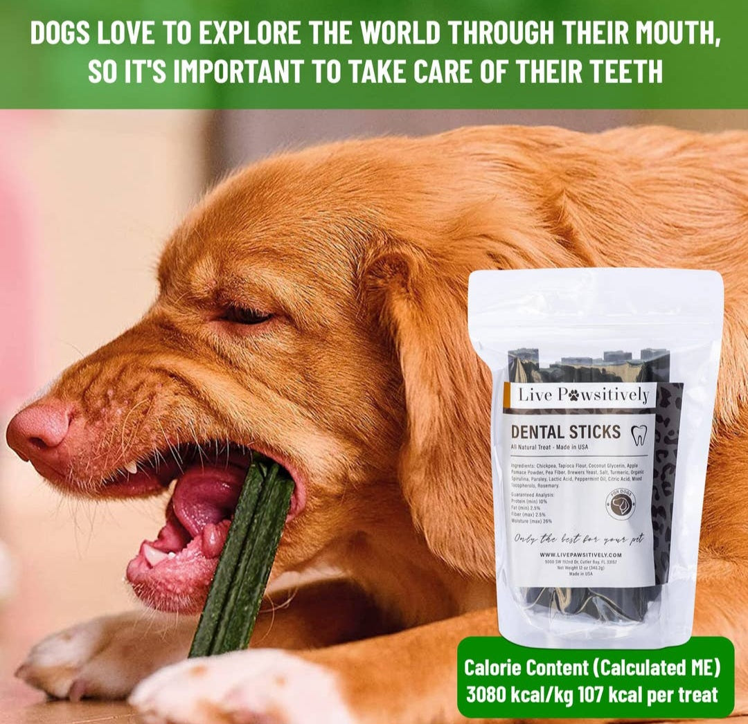 Live Pawsitively  Dental Chews/Sticks for Dogs & Puppies 12 oz