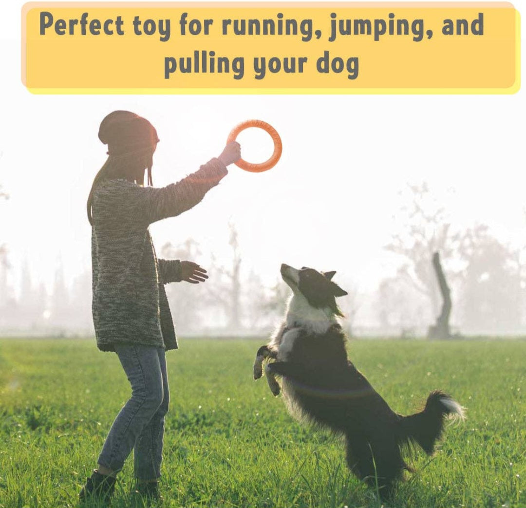 PetSpy-Dog Fitness Ring For Outdoor Training