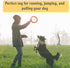 PetSpy-Dog Fitness Ring For Outdoor Training