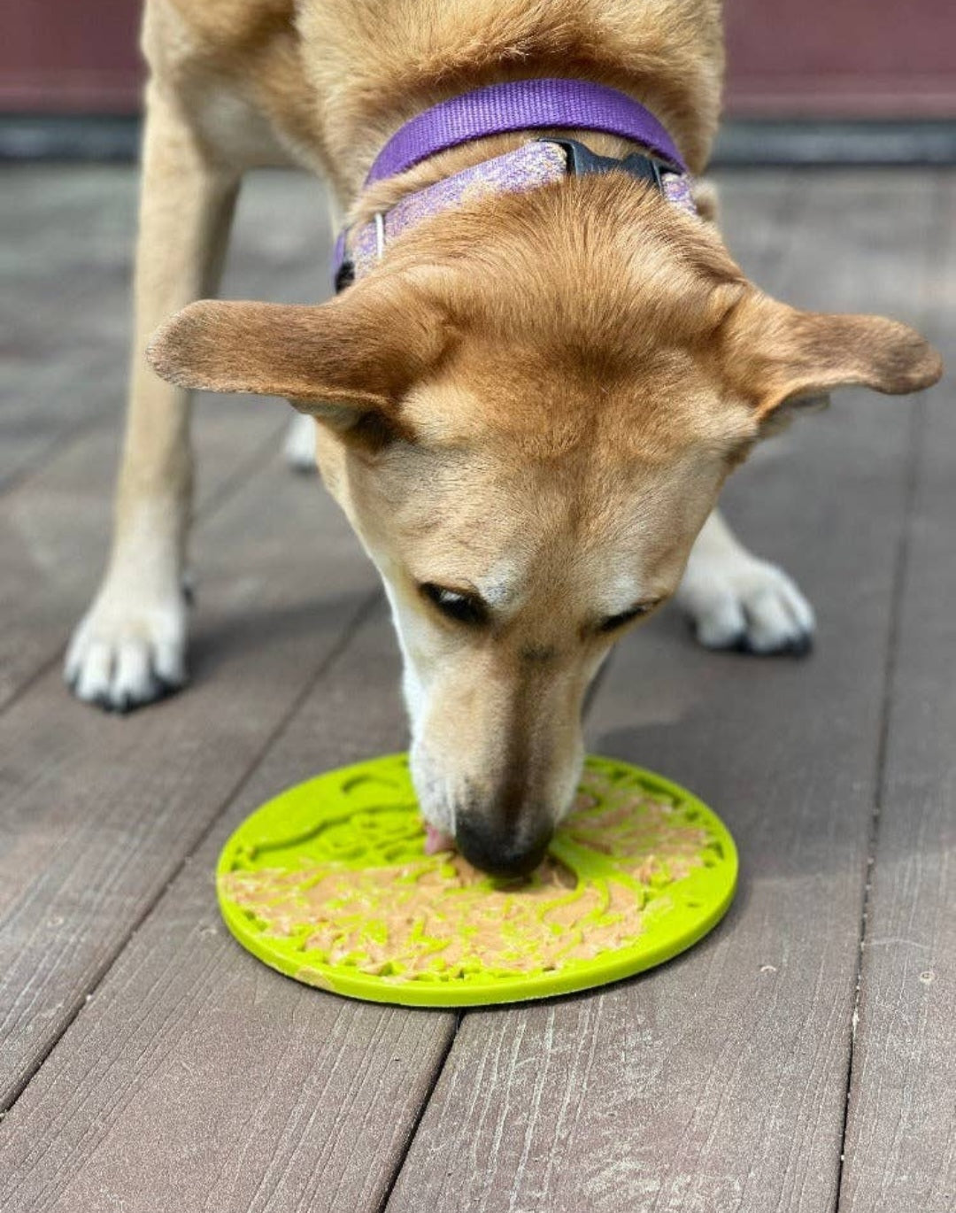 Sodapup Tree of Life Emat Enrichment Lick Mat with Suction Cups