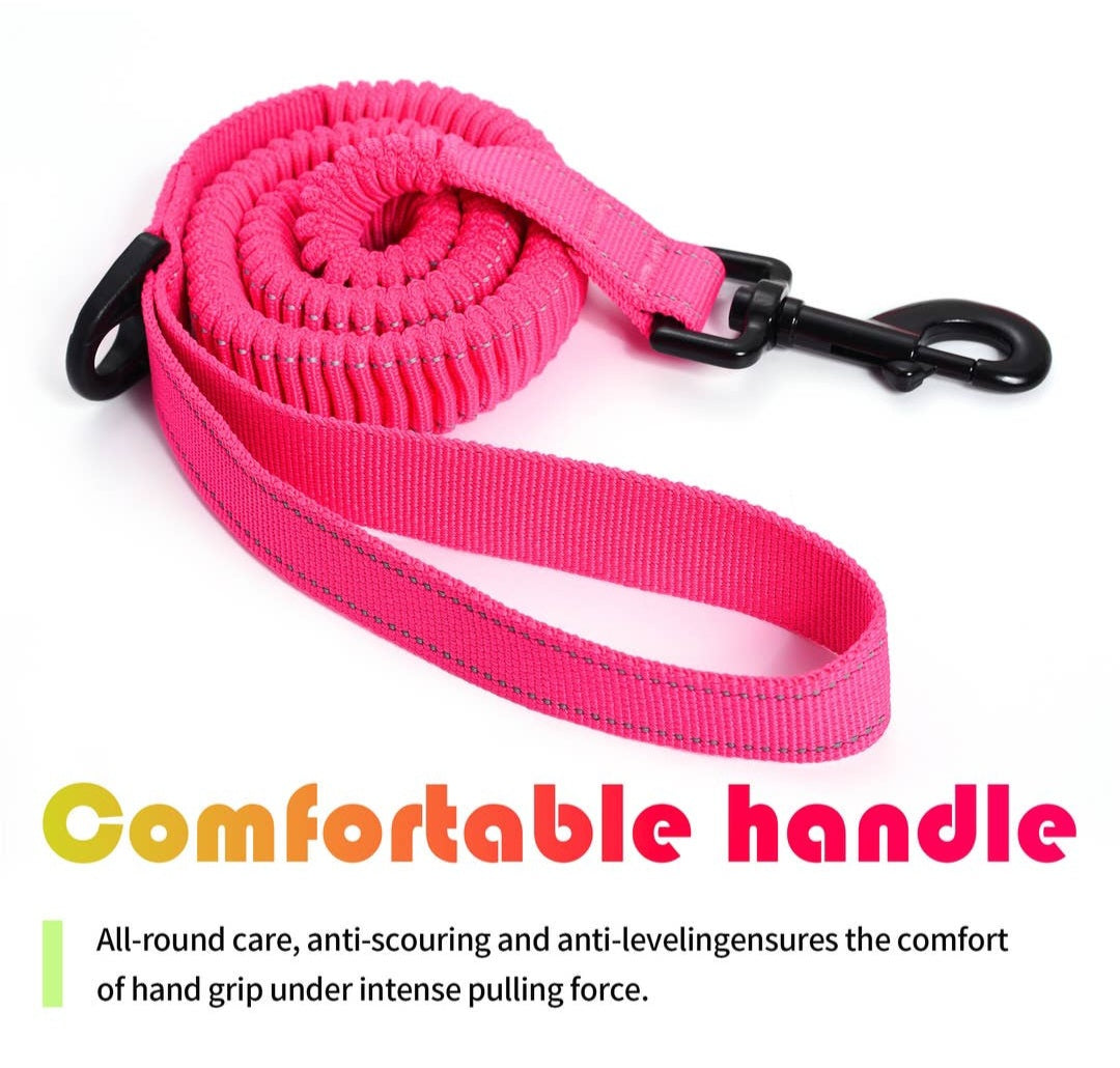 Mile High Life Bungee Gentle Pull Training Lead | Pink