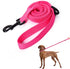 Mile High Life Bungee Gentle Pull Training Lead | Pink