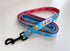 The Pet Scout Shop Summer Beer Lead