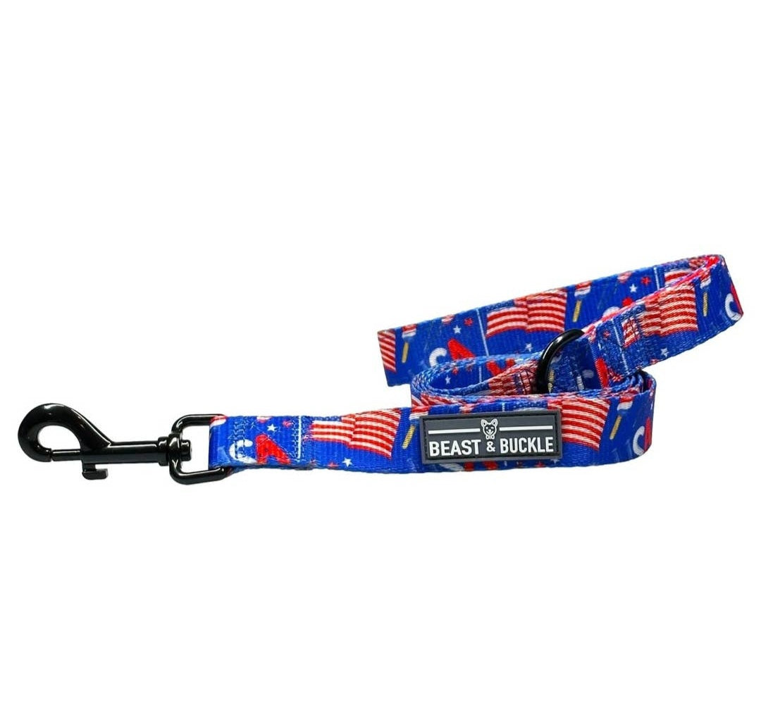 Beast and Buckle Pawty in the USA NO Pull Dog Harness+Leash