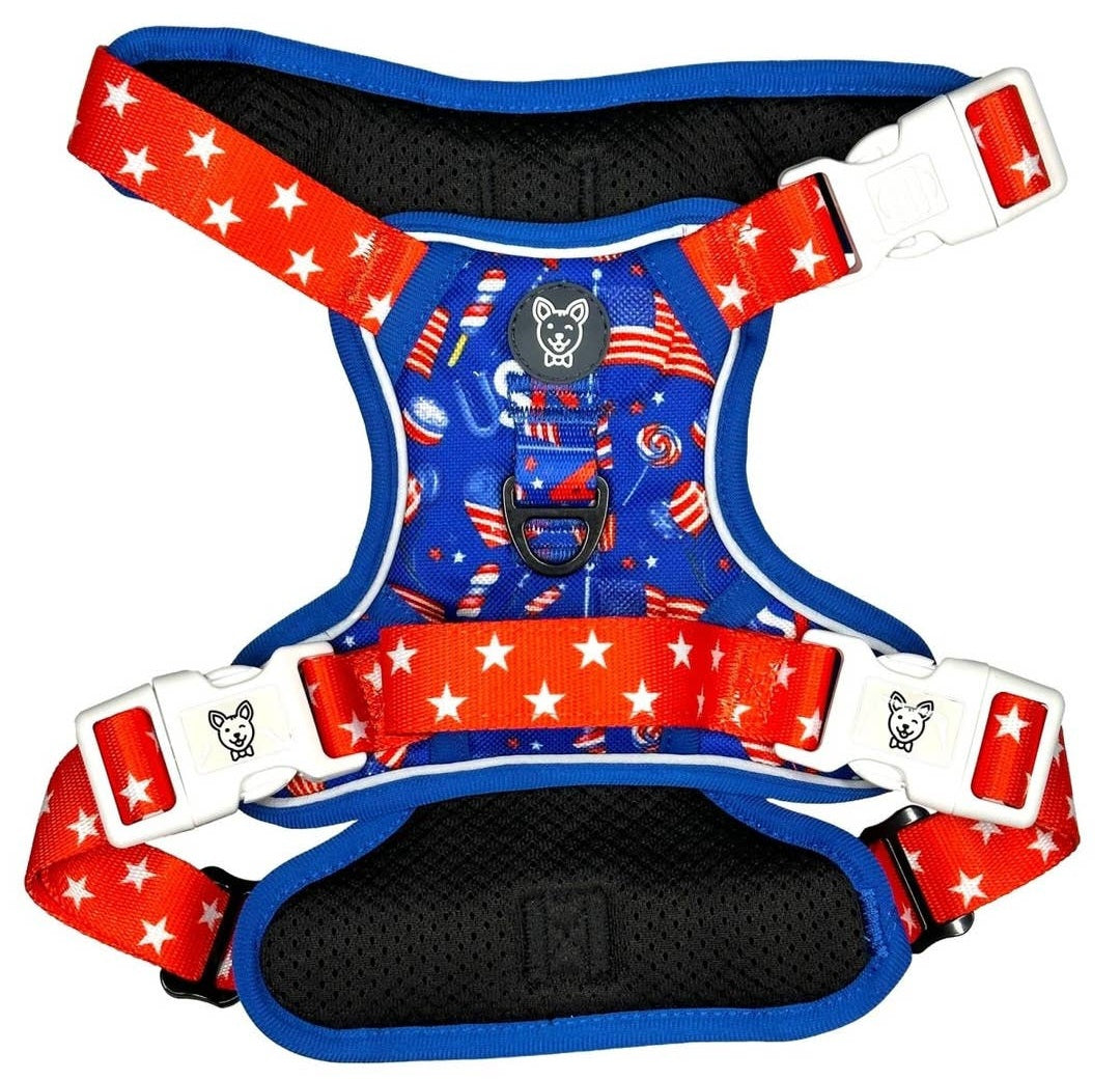 Beast and Buckle Pawty in the USA NO Pull Dog Harness+Leash