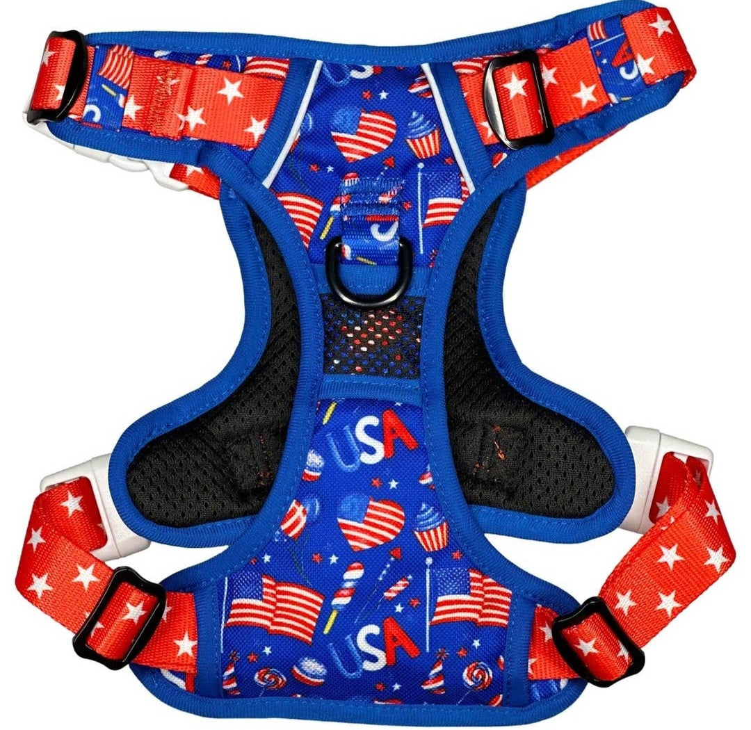 Beast and Buckle Pawty in the USA NO Pull Dog Harness+Leash