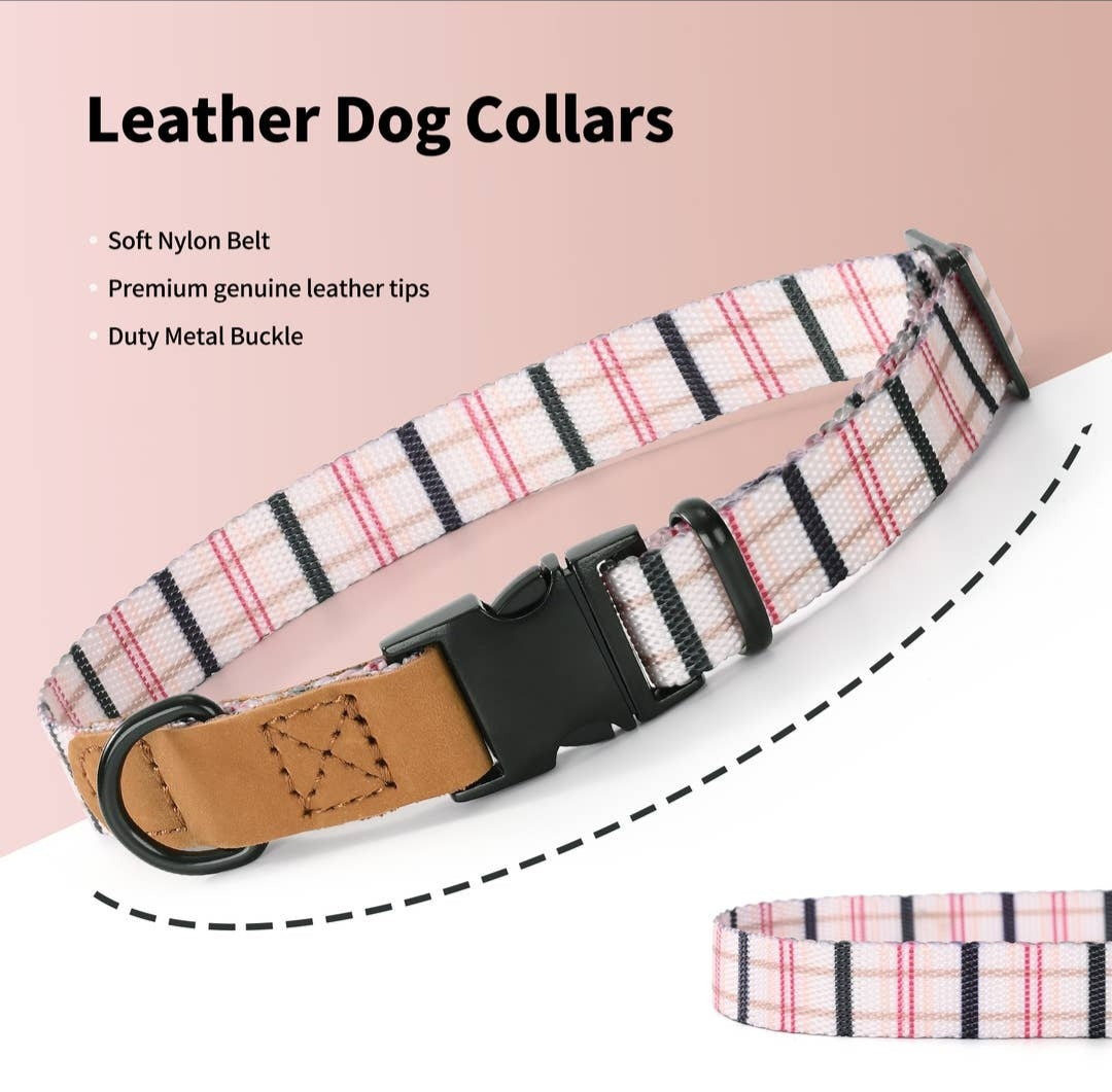 Mile High Life-Canvas Leather Dog Collars-Color Options