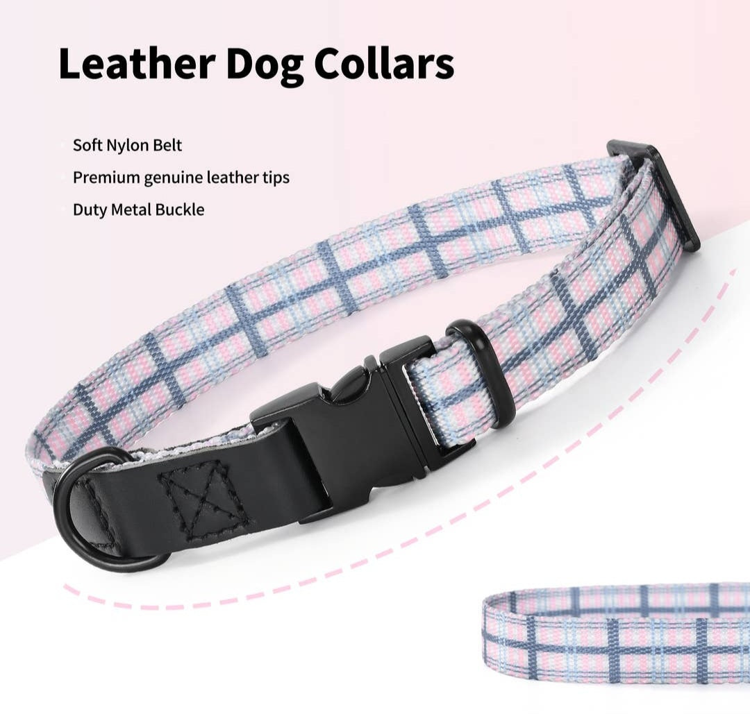 Mile High Life-Canvas Leather Dog Collars-Color Options