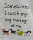 Kitchen Flour Sack Tea Towel 27"x 27" 'Sometimes I Catch My Dogs'