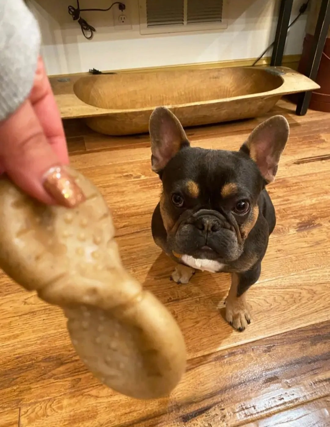 Tall Tails  Rock N Chew Dog Toy