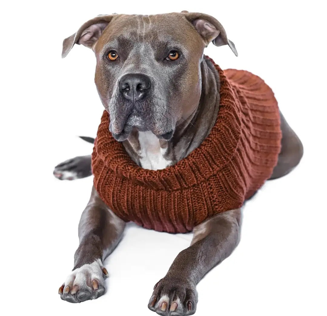 Snoods Zoo Sweaters for Dogs
