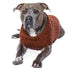 Snoods Zoo Sweaters for Dogs