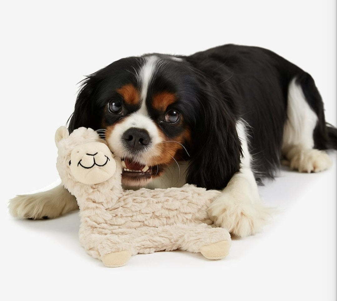 Nandog My BFF Grumpy the Alpaca