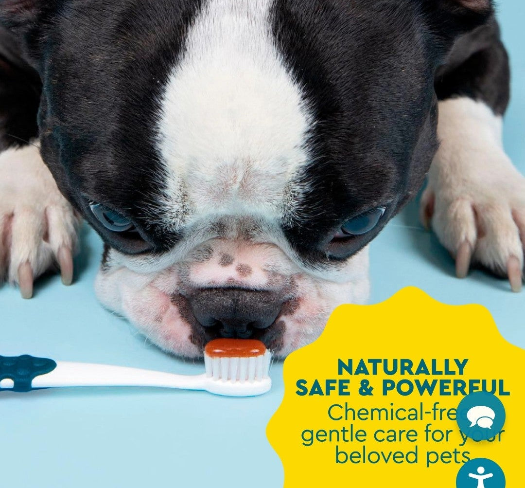 Radius Organic Canine Dental Gel 3 oz