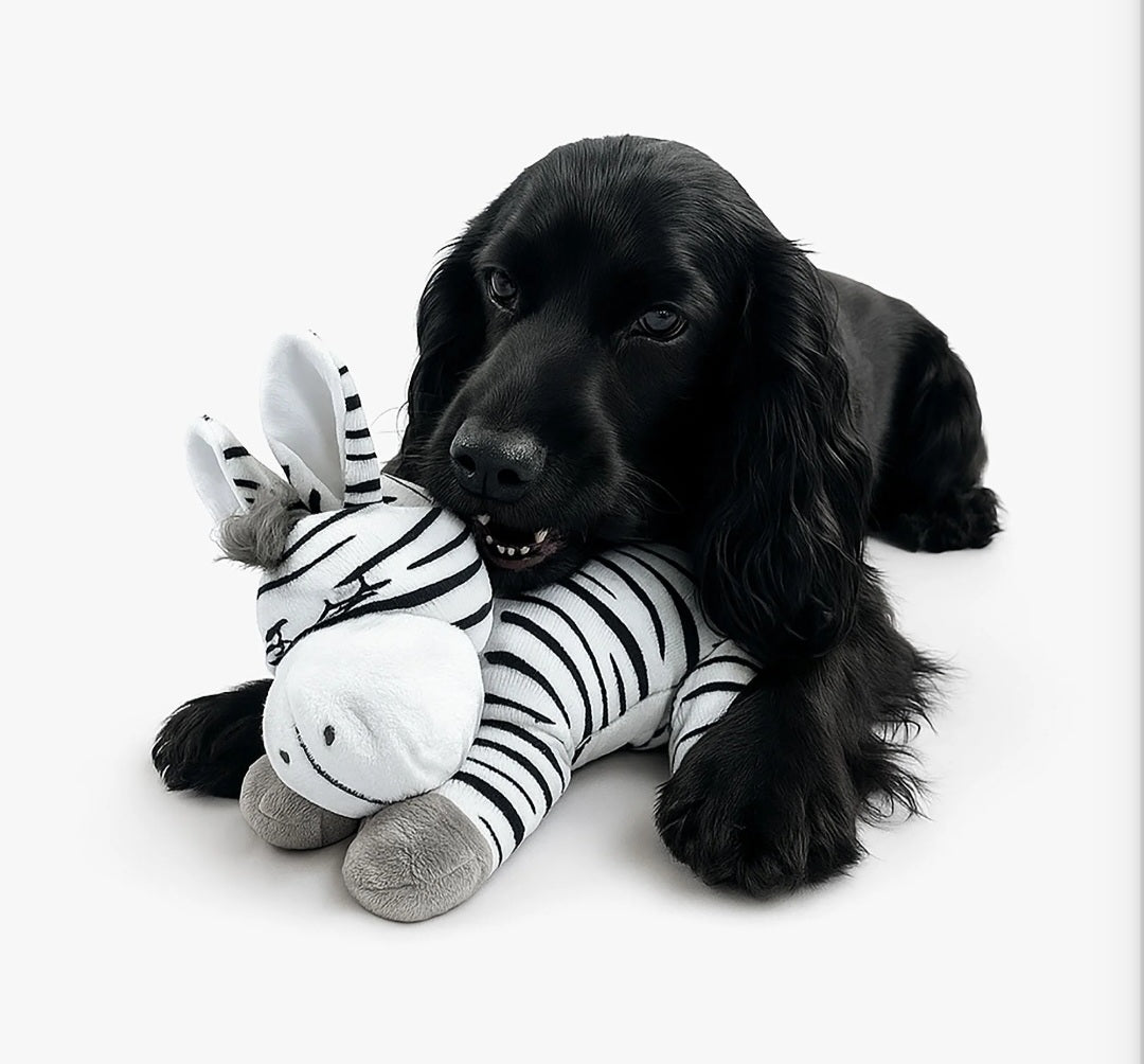 Nandog My BFF Ink The Zebra